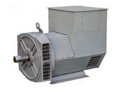 Brushless generators Fujian Lion Motor